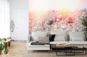 Fototapeta Pole Maków
