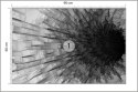 Fototapeta Abstrakcyjny Tunel 3D