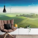 Fototapeta Widok Z Lotu Ptaka Na Zielone Pola 3D