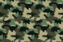Fototapeta Dinozaury