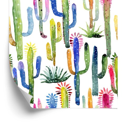 Tapeta Kolorowe Kaktusy