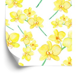 Tapeta Kwiaty Rośliny Storczyki Natura Do Salonu