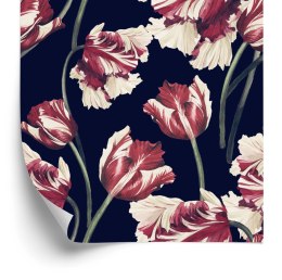 Tapeta Biało-Czerwone Tulipany