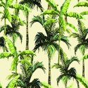 Tapeta Zieleń Palmy Liście Natura Przyroda Biuro