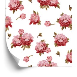 Tapeta Kolorowe Peonie - Akwarela