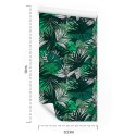 Tapeta Liście Monstera Bananowca Palmy