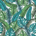 Tapeta Liście Monstera Dżungla