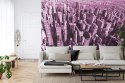 Fototapeta Las Wieżowców W Kolorze Różowym