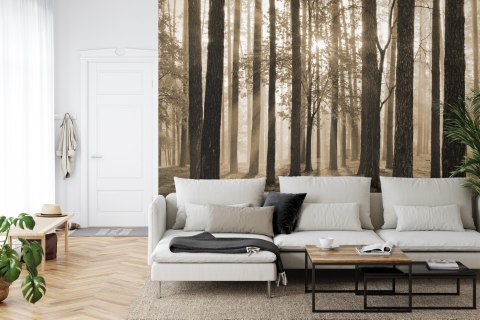 Fototapeta Wschód Słońca W Sepii