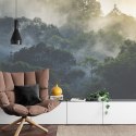 Fototapeta Landscape Of Asia Tropical Rainforest, Canopy Tree Of Jungle Green Forest Park Outdoor, Nature Environment Mountain V