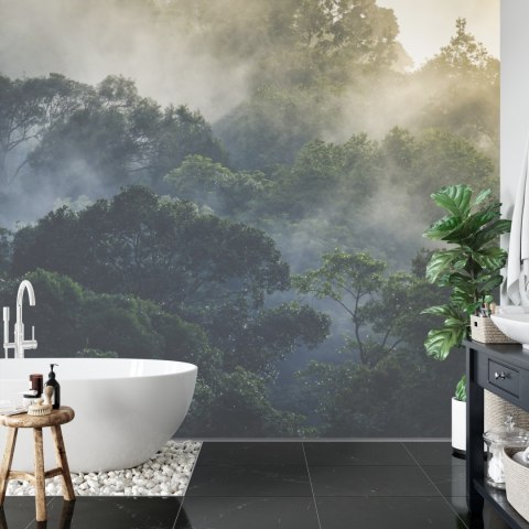 Fototapeta Landscape Of Asia Tropical Rainforest, Canopy Tree Of Jungle Green Forest Park Outdoor, Nature Environment Mountain V