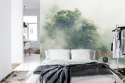 Fototapeta Tropical Forest In Japan, Nature Jungle With Green Tree And Fog, Concept Of Zin Therapy Comfortable Freedom Relaxing 