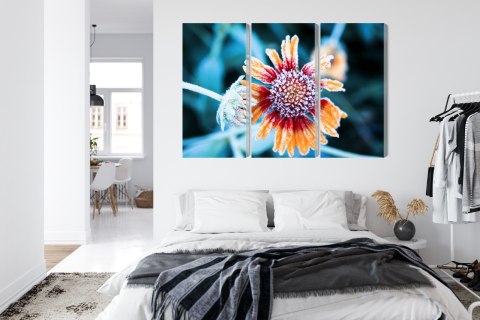 Obraz Wieloczęściowy Kwiaty Rudbeckia Pokryte Szronem