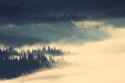 Fototapeta Amazing Autumn Sunrise Image In Mountains, Autumn Morning Dawn, Nature Colorful Background, Carpathians Mountains, Uk