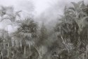 Fototapeta Tropical Trees And Leaves For Digital Printing Wallpaper, Custom Design Wallpaper - 3D