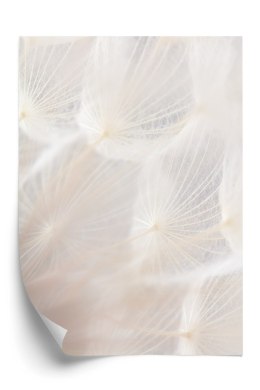 Plakat Abstrakcyjny Beżowy Dmuchawiec