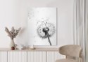 Plakat Dmuchawiec I Jego Nasiona