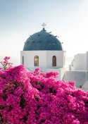 Plakat Typowa Architektura Santorini I Kwitnąca Bugenwilla