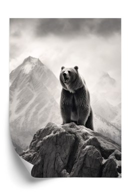 Plakat Niedźwiedź Grizzly Na Wysokiej Skale