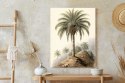 Plakat Botaniczna Palma Na Pustynnym Krajobrazie