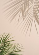 Plakat Letnie Naturalne Zielone Liście Palmowe I Cienie