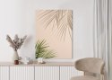 Plakat Letnie Naturalne Zielone Liście Palmowe I Cienie