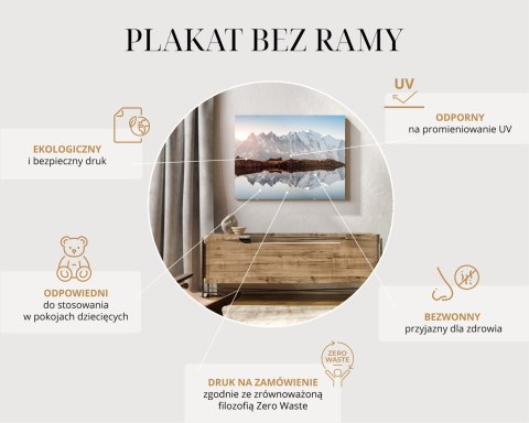 Plakat Suchy Łopian