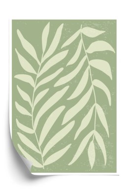 Plakat Botanika W Stylu Matisse