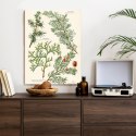 Plakat Wizerunki Starych Roślin Botanicznych