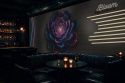 Neonowy Kwiat Bloom – Fototapeta 3D na wymiar