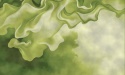 Fototapeta Abstrakcyjny Dym Szałwiowa Zieleń, Mural Ścienny Fluid Art, Dekoracja do Sypialni, Zielona Tapeta na Wymiar